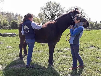 Une praticienne en naturopathie équine explique le bilan de santé à la propriétaire d’un cheval, pendant une consultation en extérieur dans un pré.