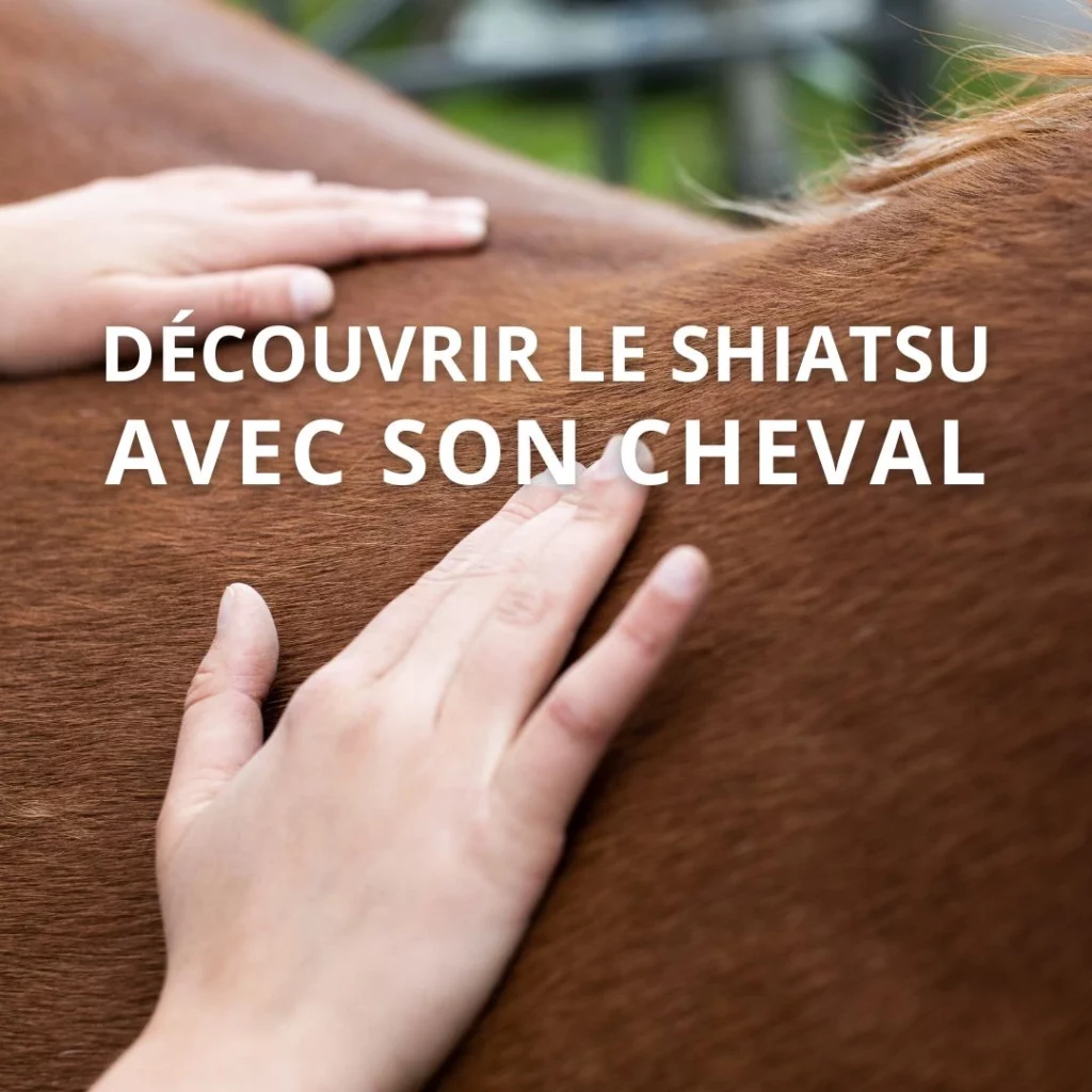 Deux mains posées délicatement sur le dos d’un cheval alezan, illustrant la connexion et l’approche douce du shiatsu équin. En arrière-plan, un cadre naturel flou. Avec le titre de la formation : découvrir le shiatsu avec son cheval.