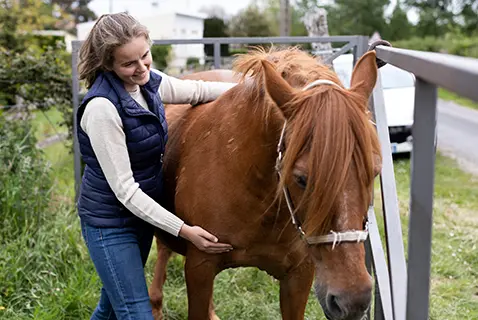 Shiatsu pour chevaux. Une praticienne de shiatsu applique une pression douce sur l'avant des épaules d’un cheval alezan, tout en souriant, dans un cadre extérieur verdoyant.